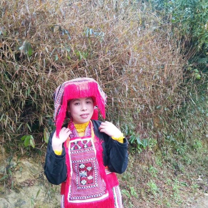 爱编瑶歌的进仙朵
