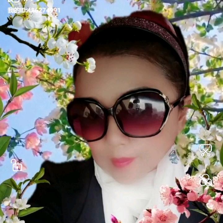 星星知我心