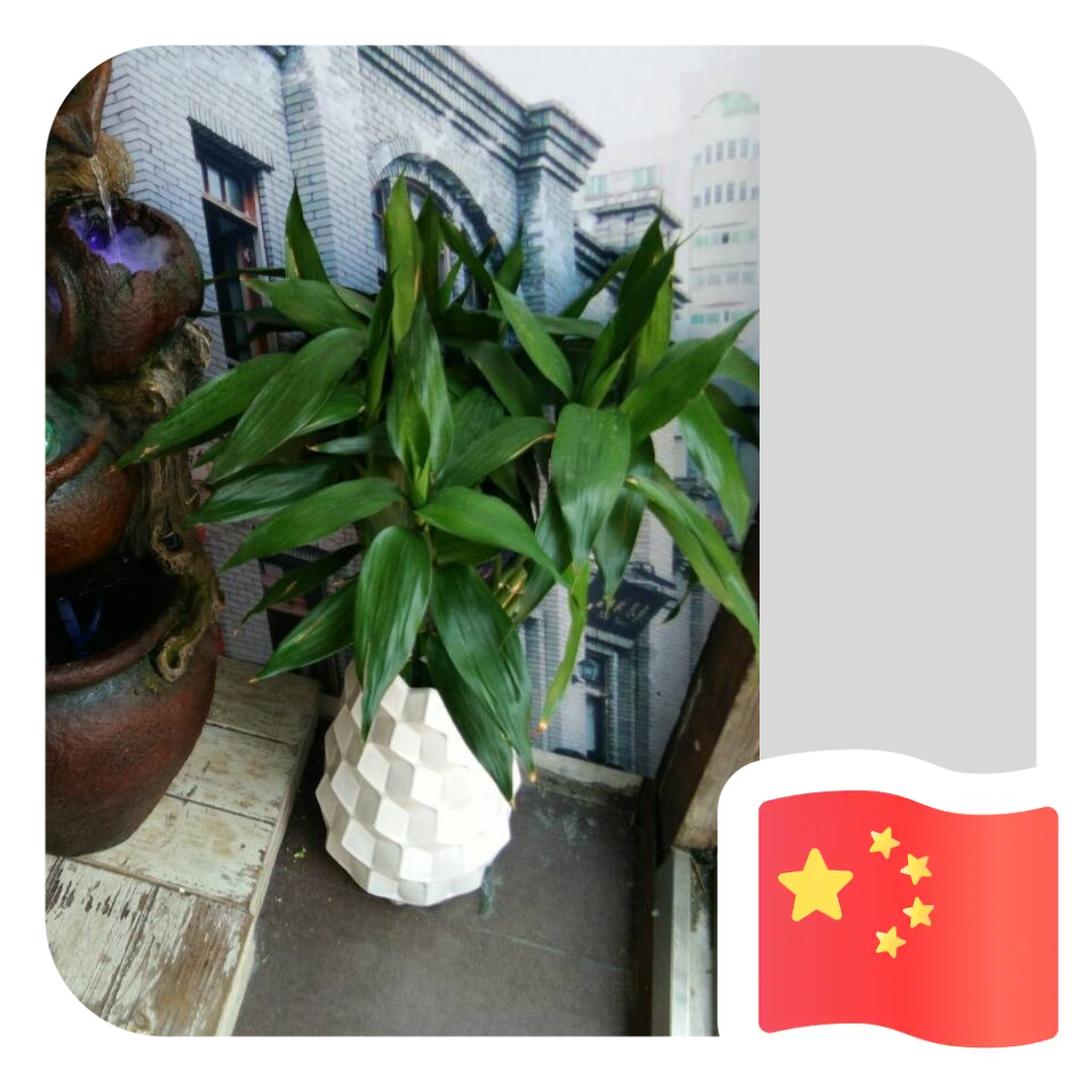 ☞手捧阳光