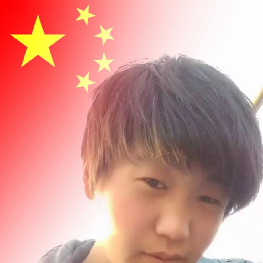 龙飞