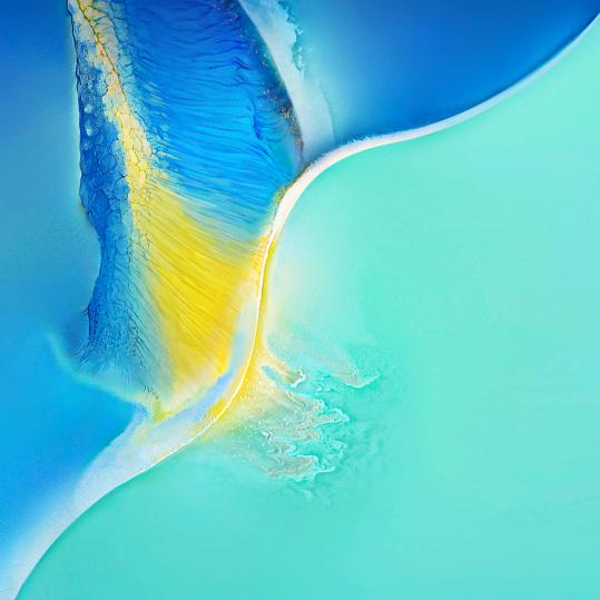 💃油菜花💃