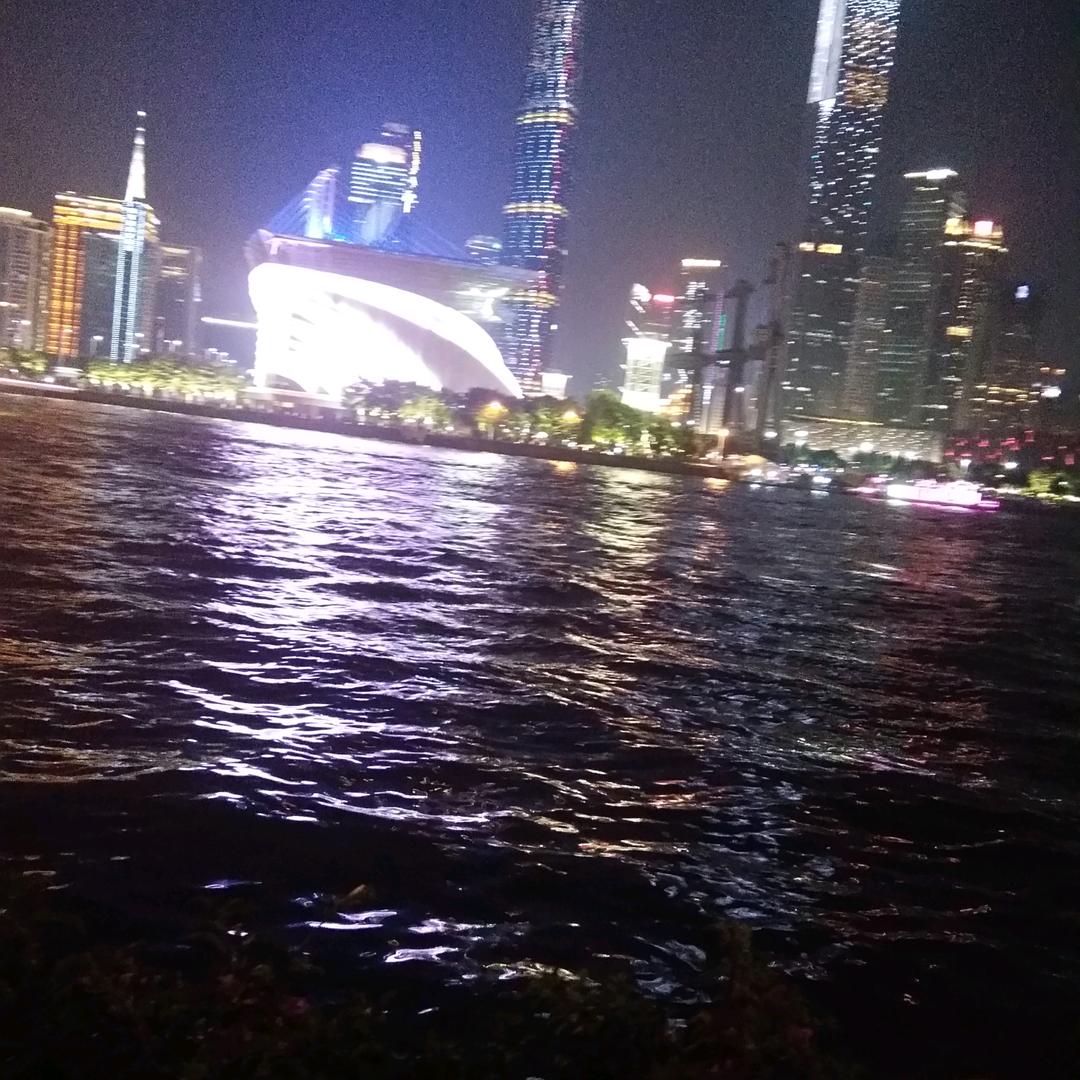 黄连花