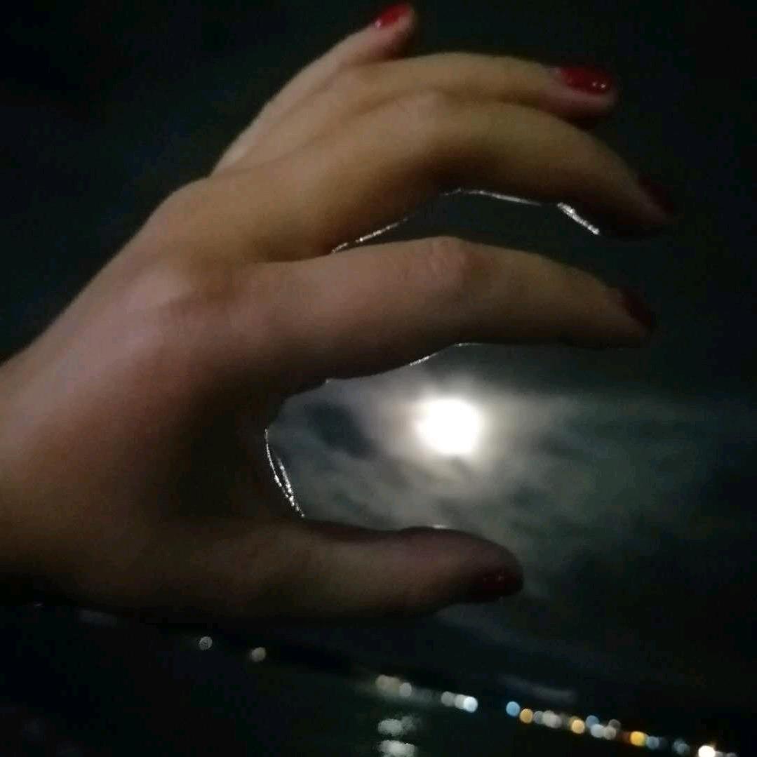 爱恨随意