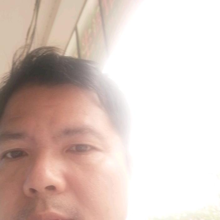 明落苍归
