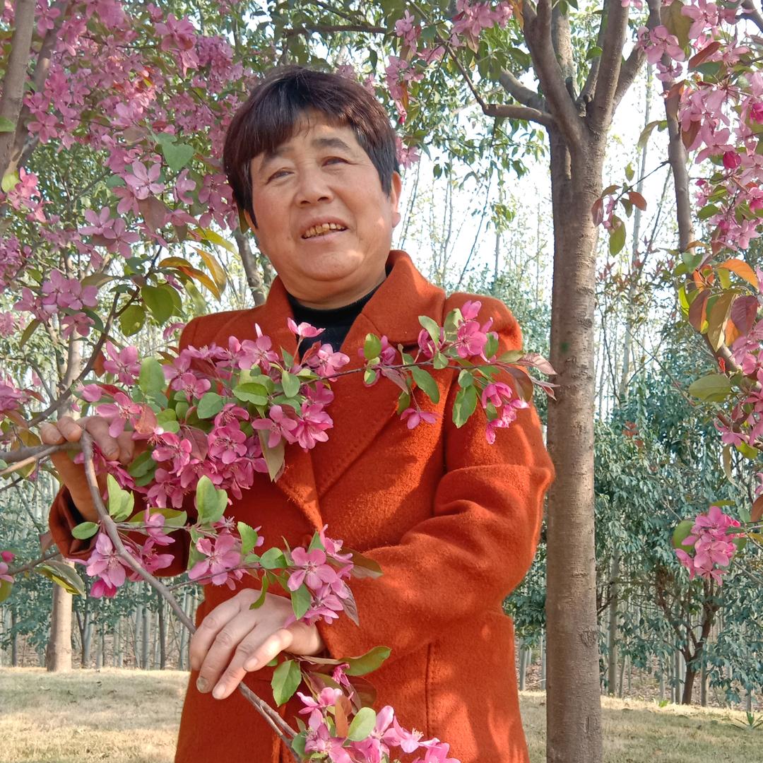 我是雪丽婆婆