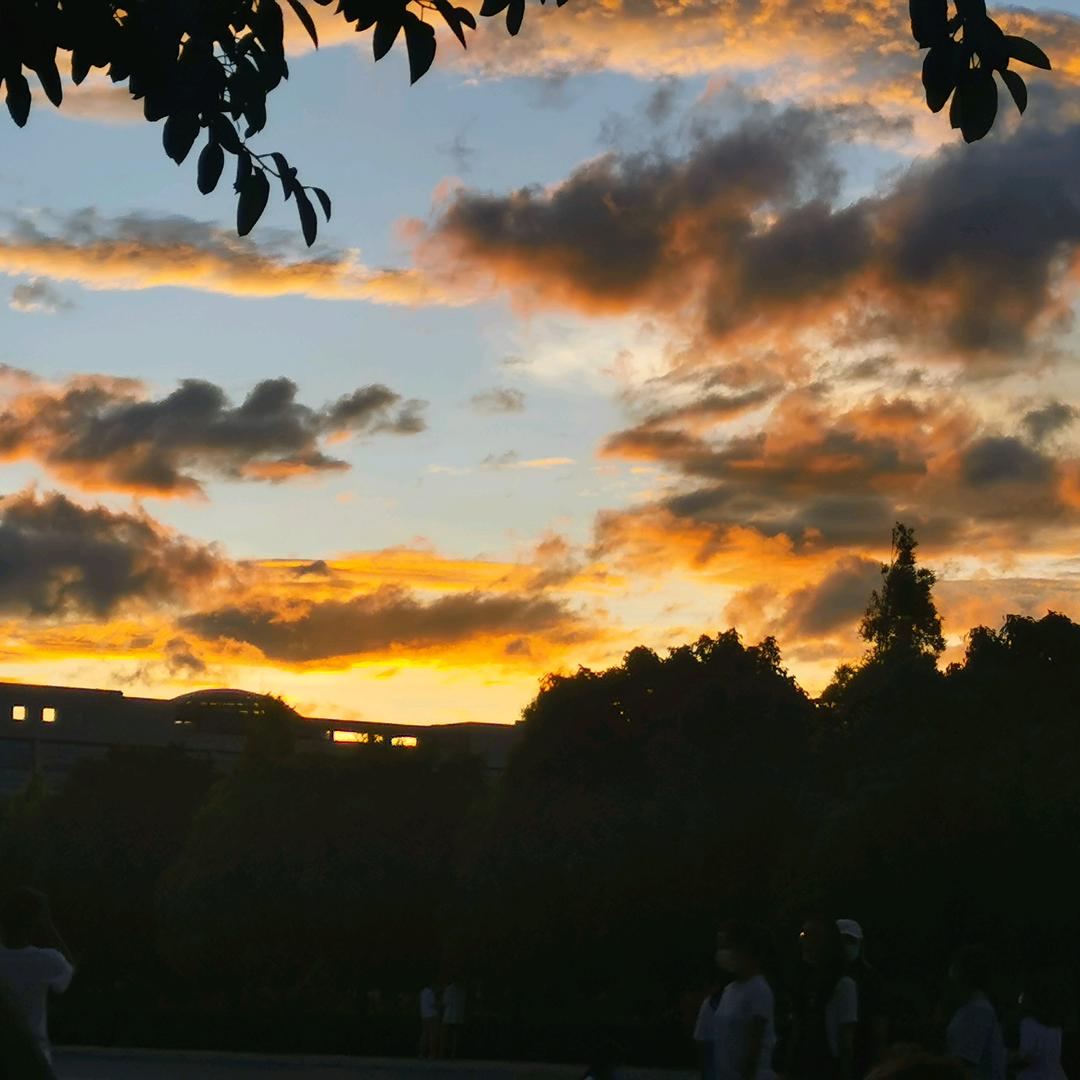 红河州志愿指导