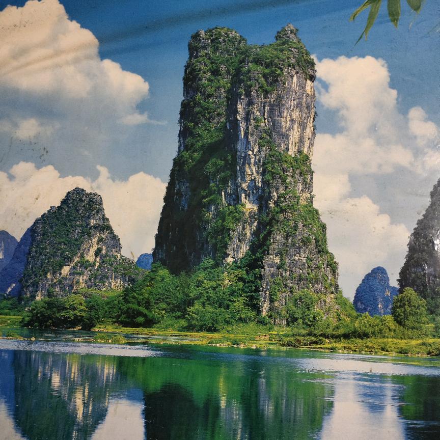勿忘我