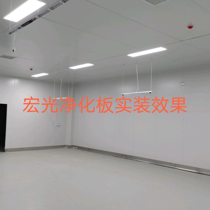 河南.宏光净化板业