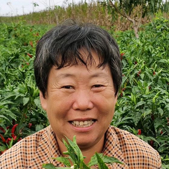 花姐和小五