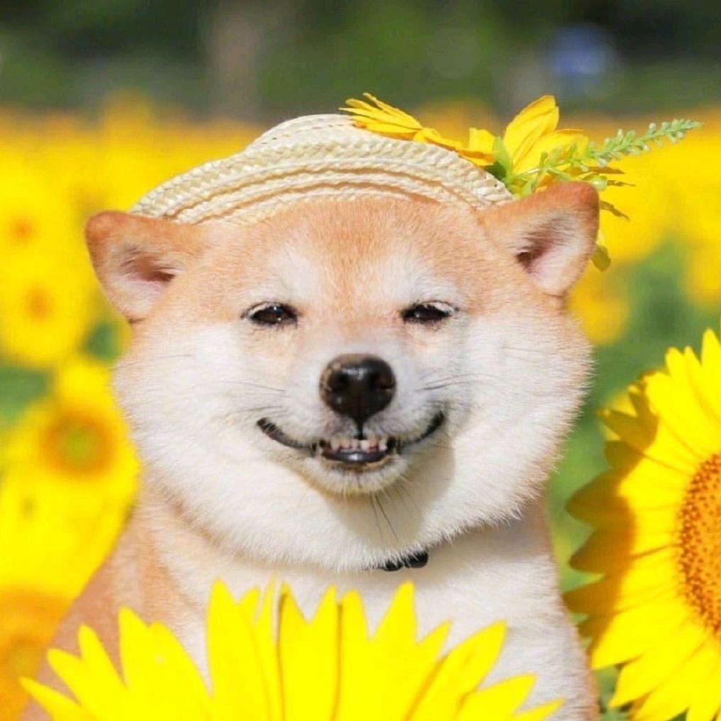 非日常吐槽┐(‘～`；)┌