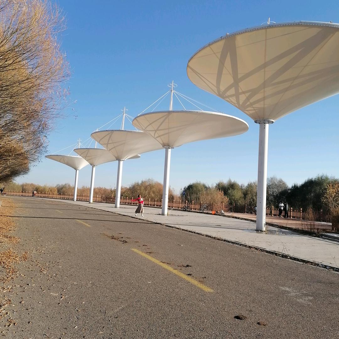 明天会更好💪🐍