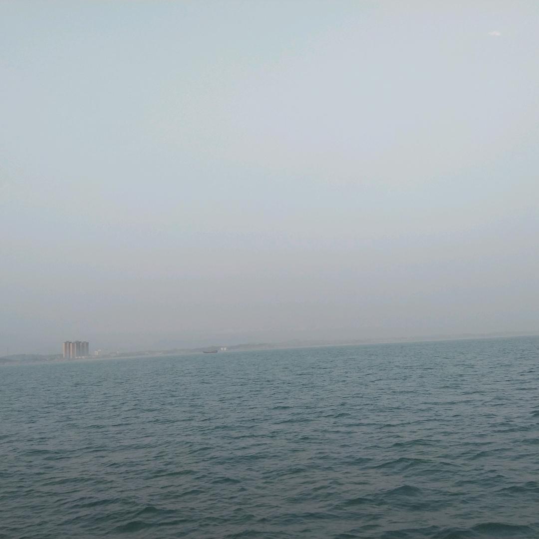 深海孤鱼