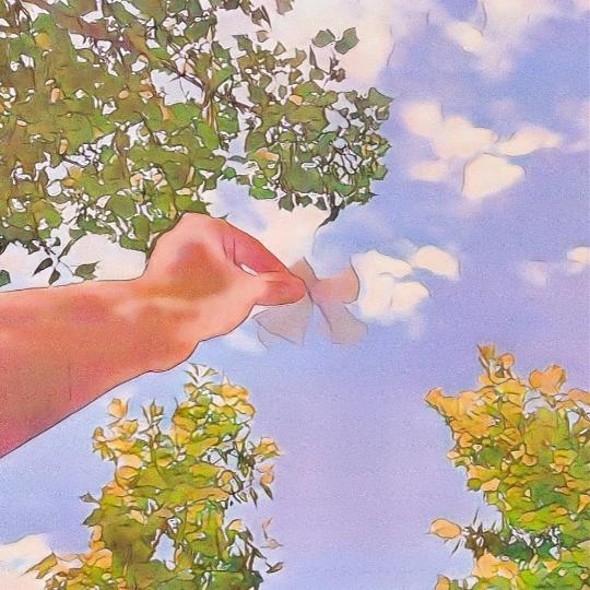 栀礼·烘焙🍰