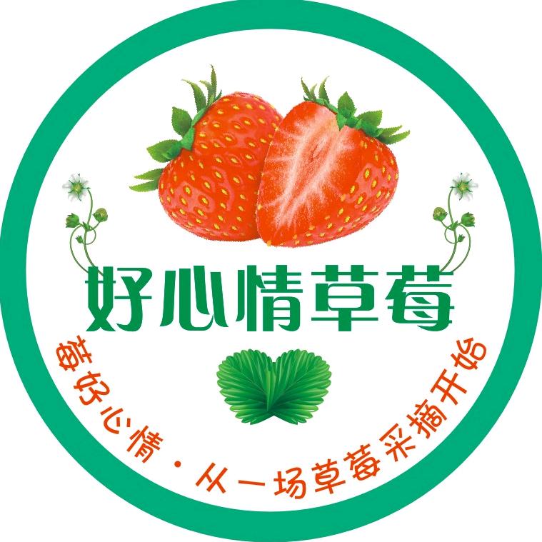 余先生种草莓