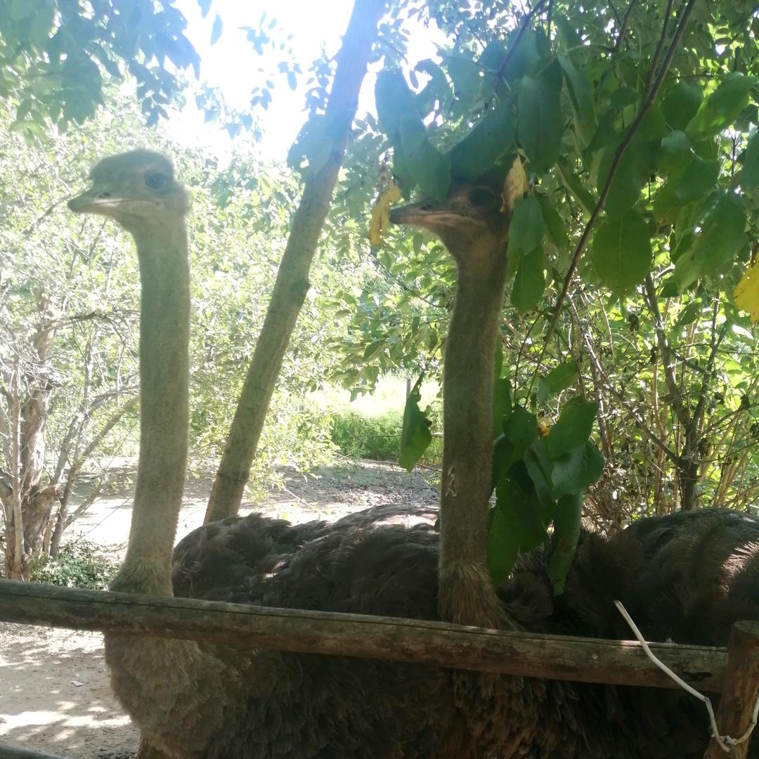 芮城县陌南镇风平街小霞家具家电城