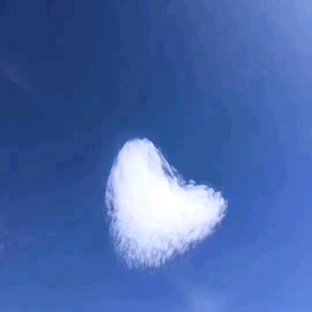 以爱、之名