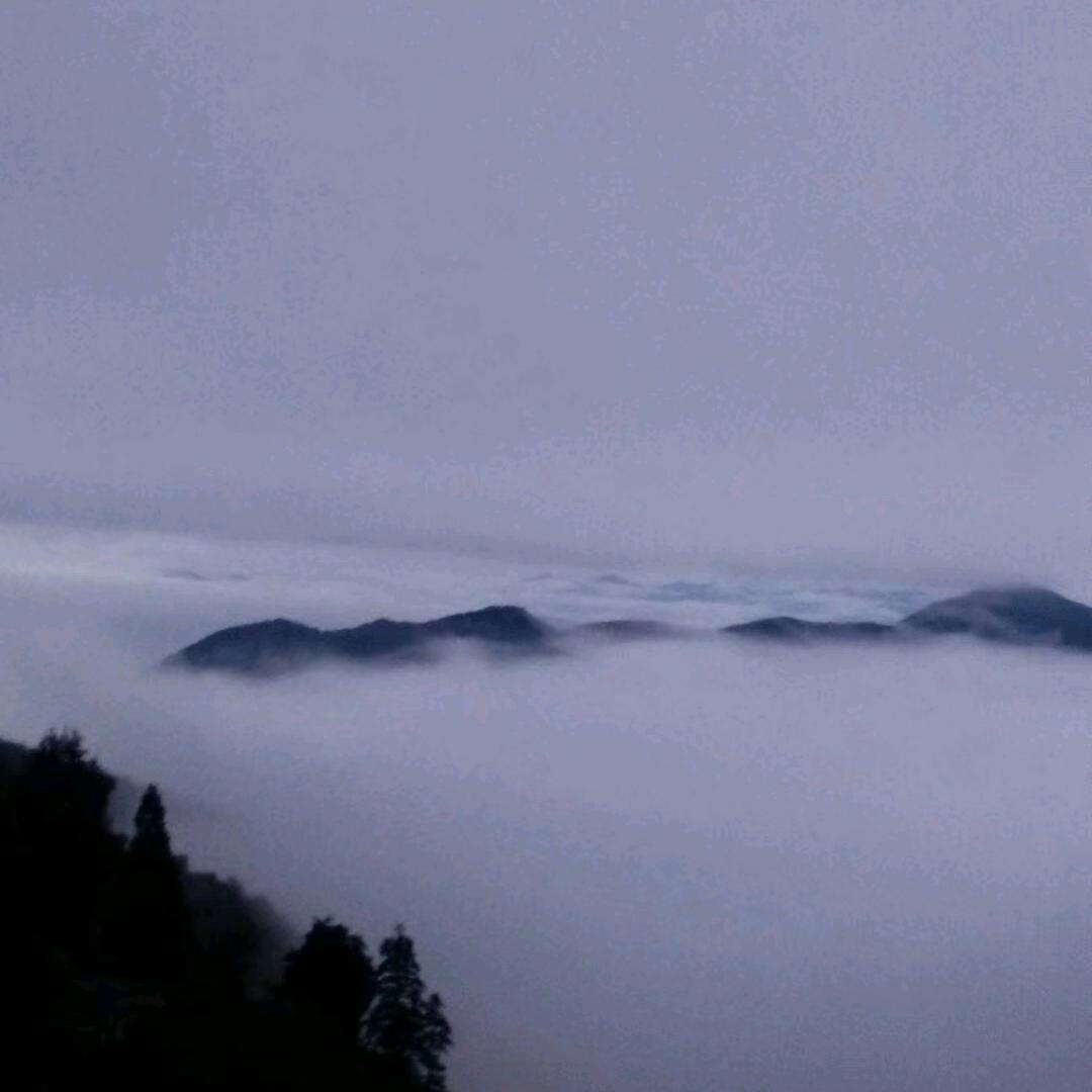 陈寮山云雾人家