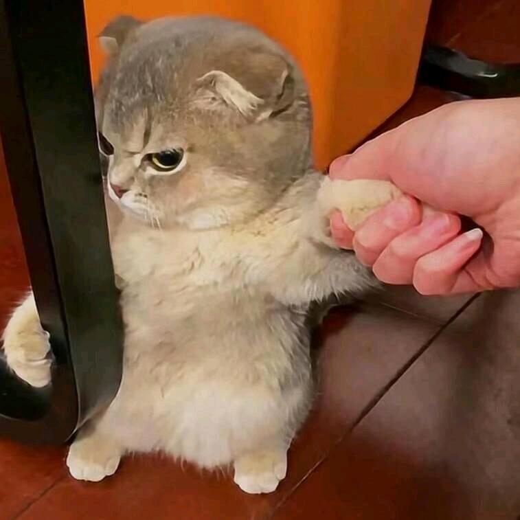 梦醉一时醒