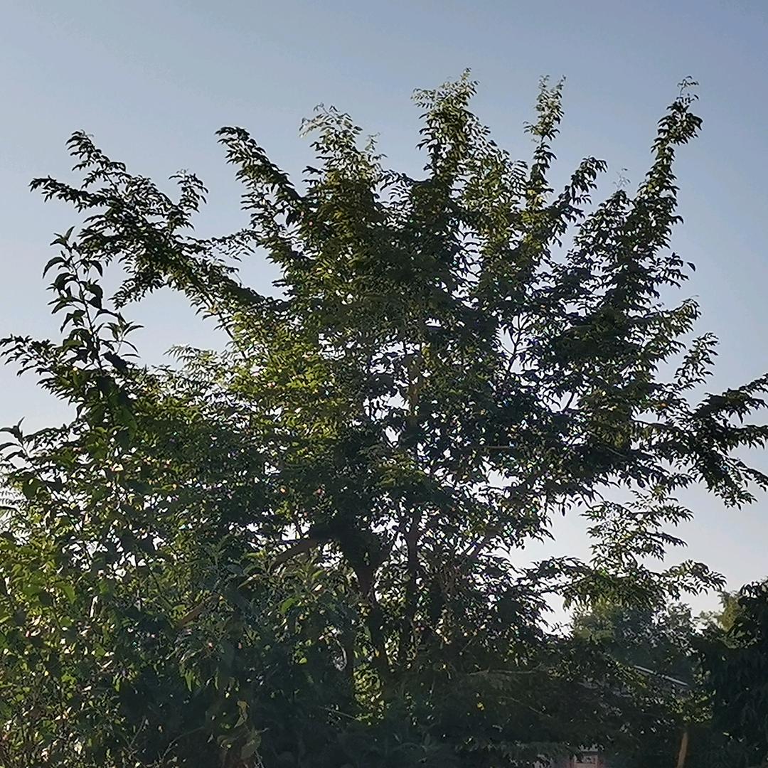 奕隆十九传丶²⁰⁵²⁰🐰