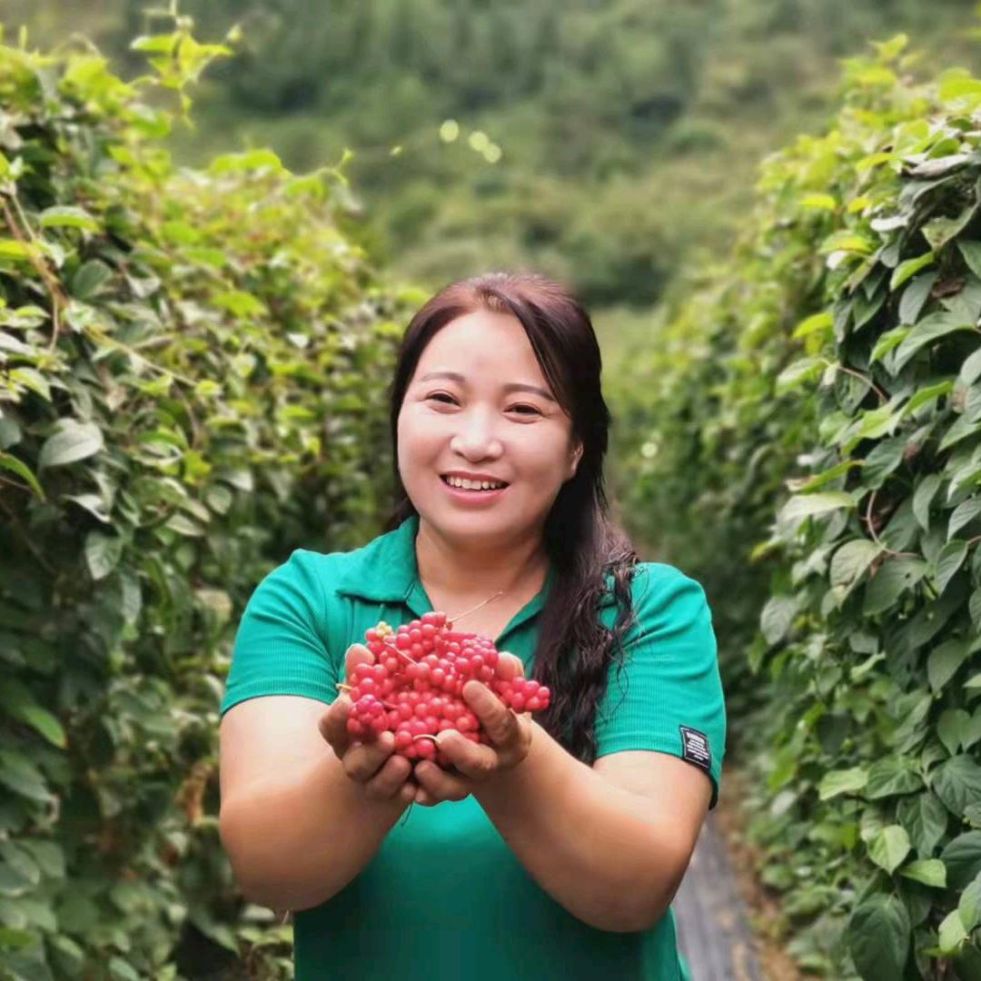 雨后彩虹