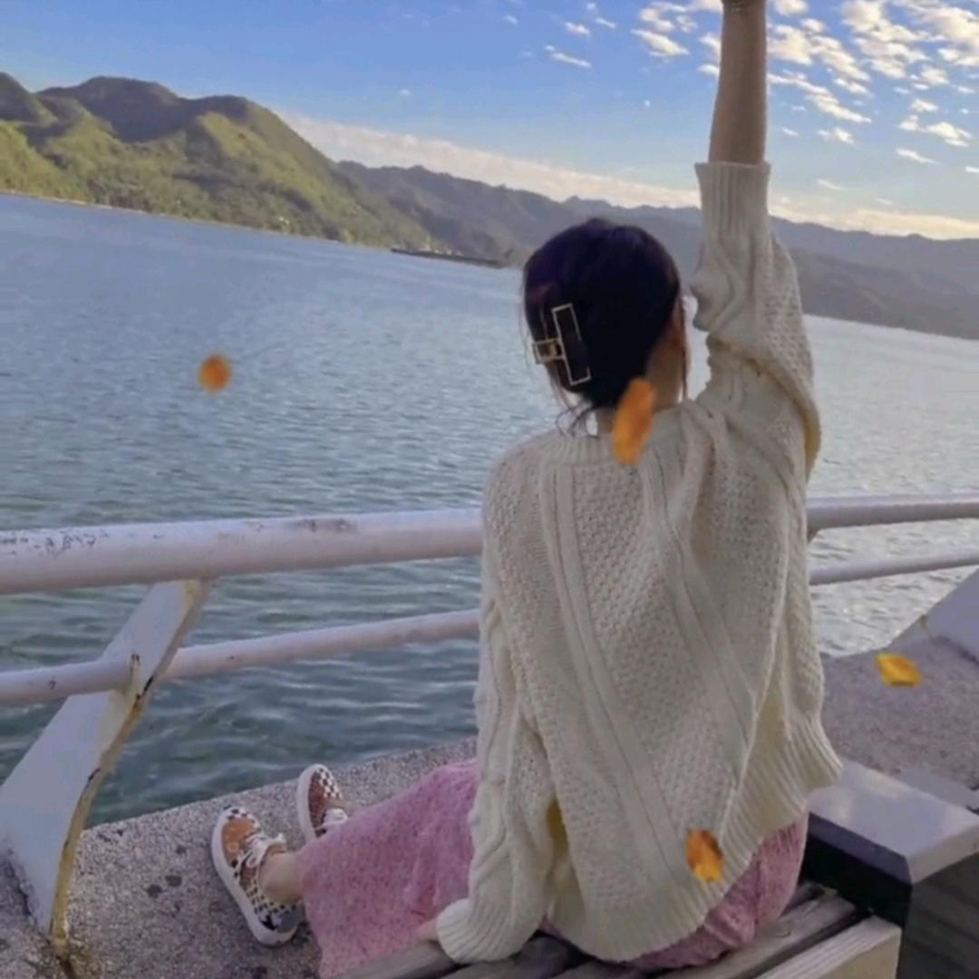 浅梦流歌