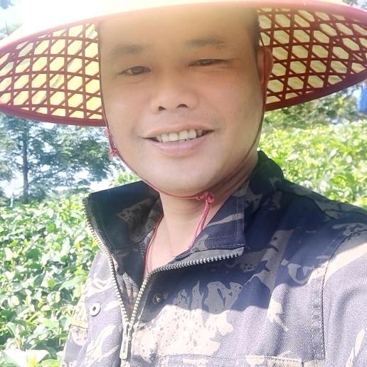茶山情，带哥