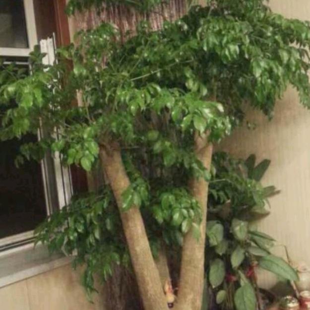 用户幸福人生9597888147303