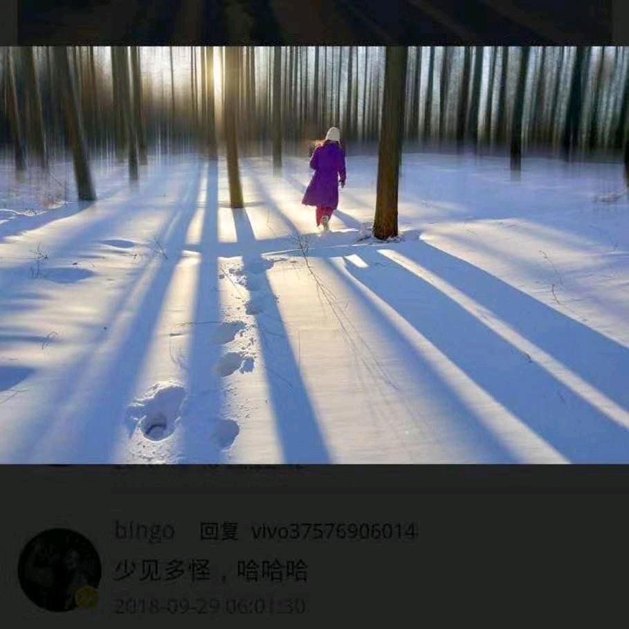 懂你