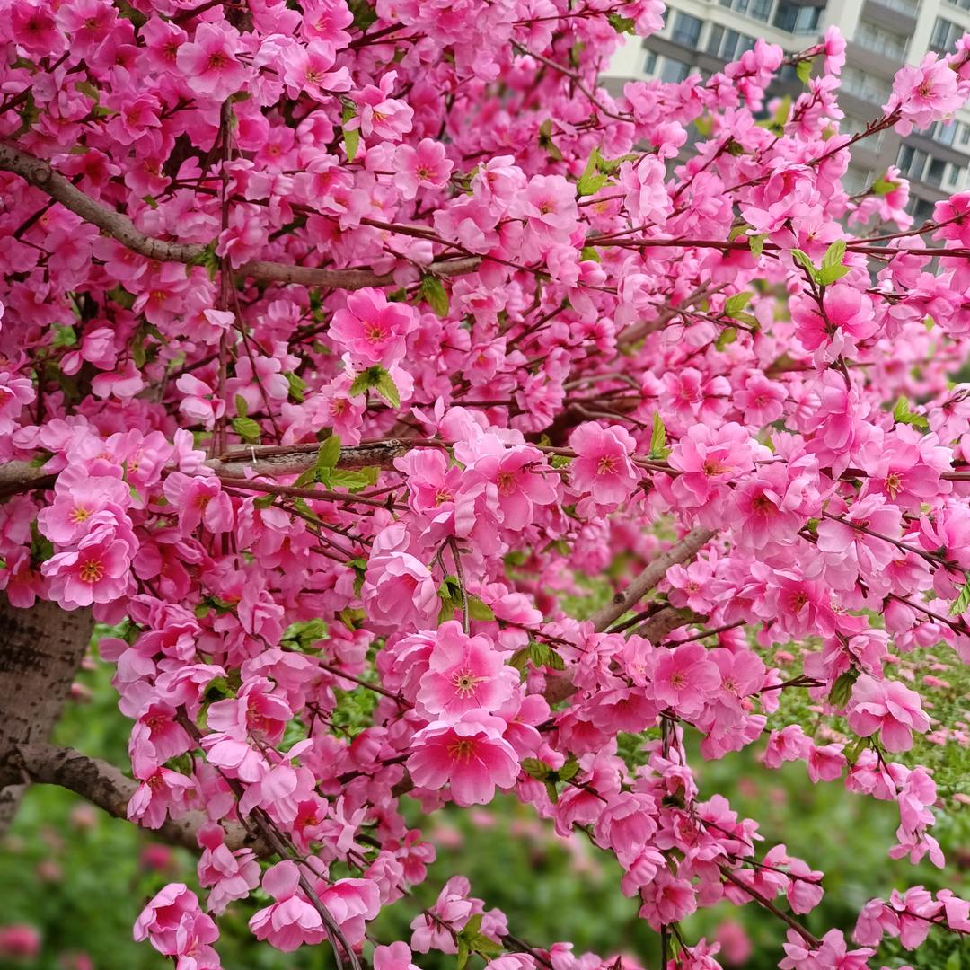 玮烨