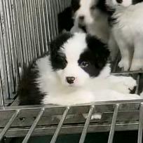 萁萁