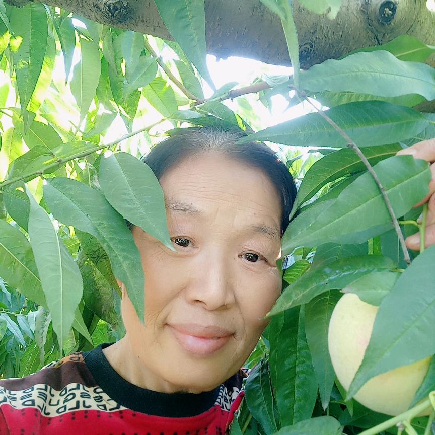 雄安新区大婷