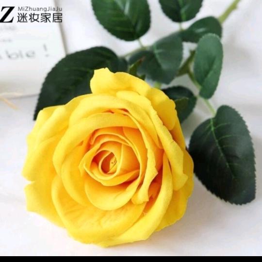 阳光自信