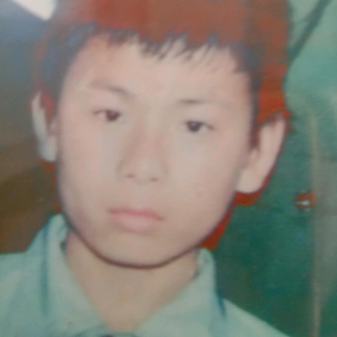 龙凤