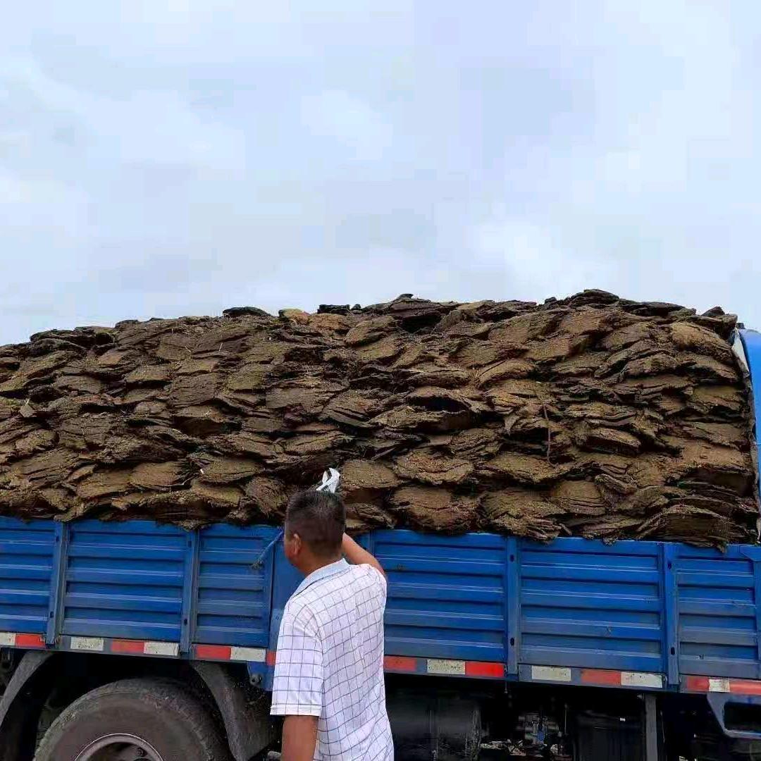 沃肥羊粪有机肥
