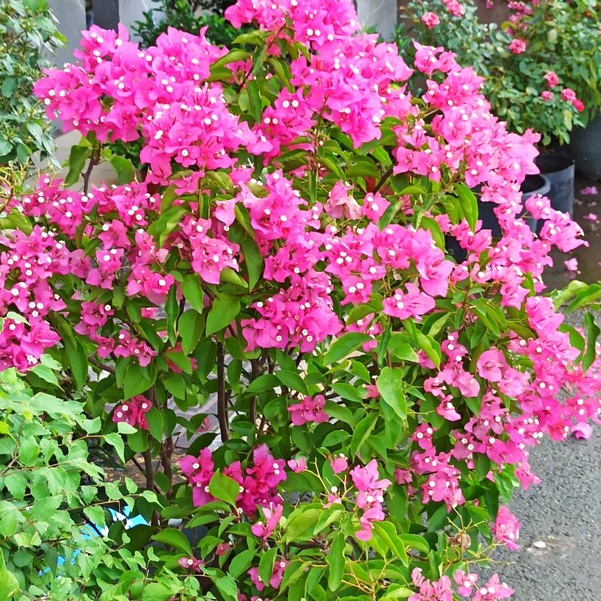 合肥经济技术开发区艺彩广告工作室