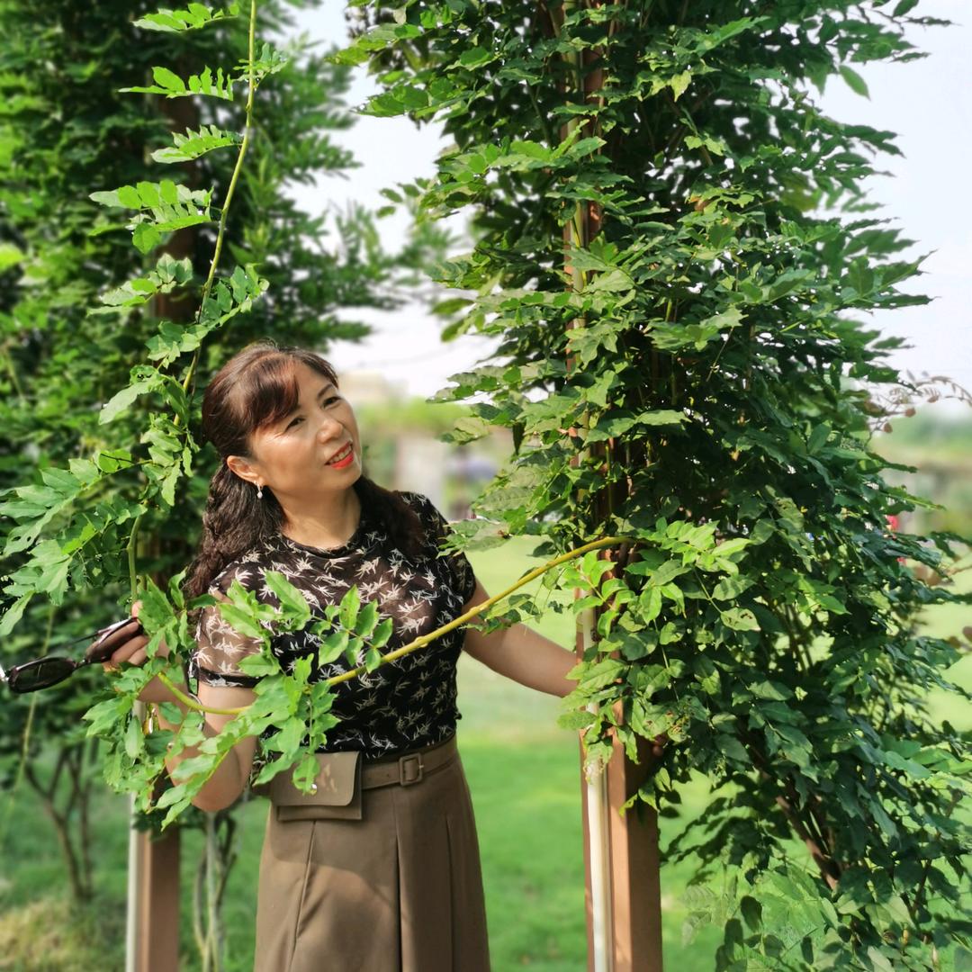 带刺的玫瑰