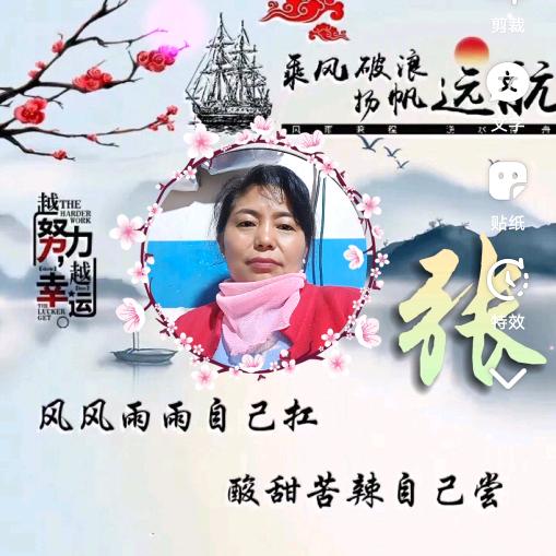 倾夏