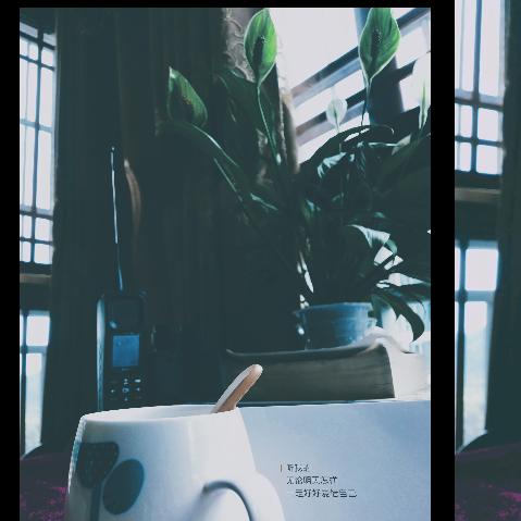 梵人_232233543