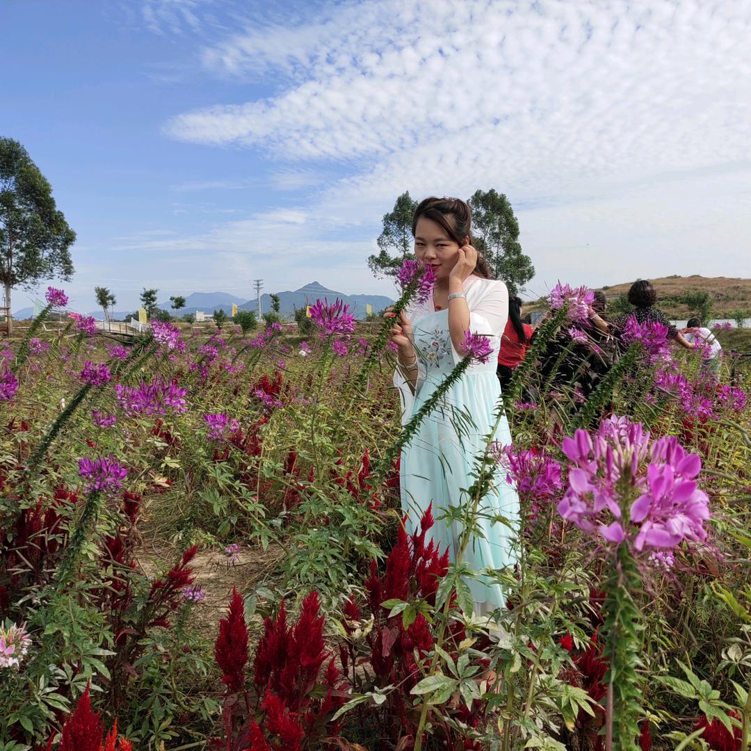 重庆鱼庄汕尾可塘店