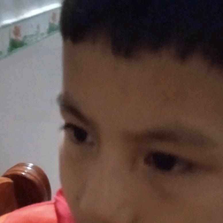 凌家两兄弟