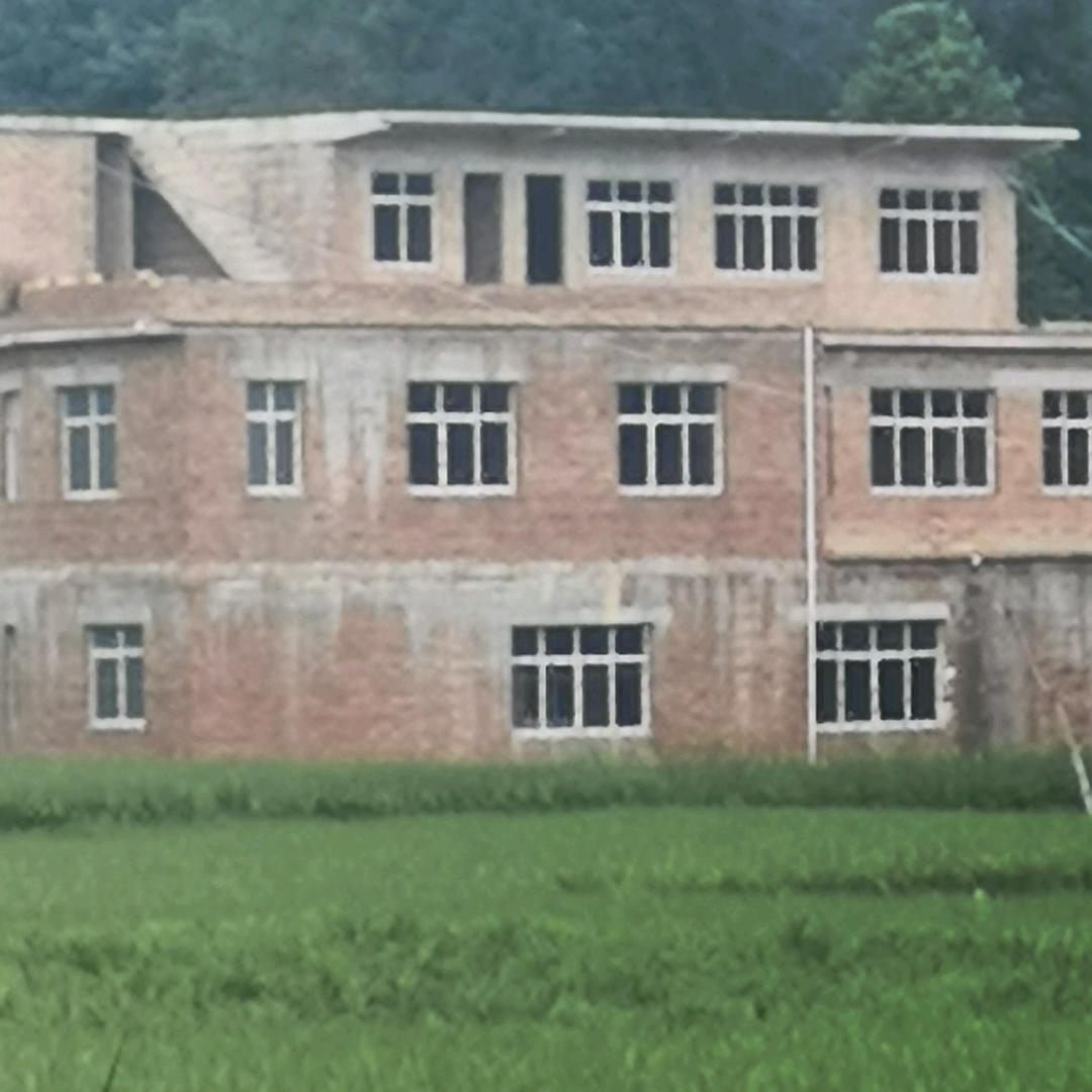 陈