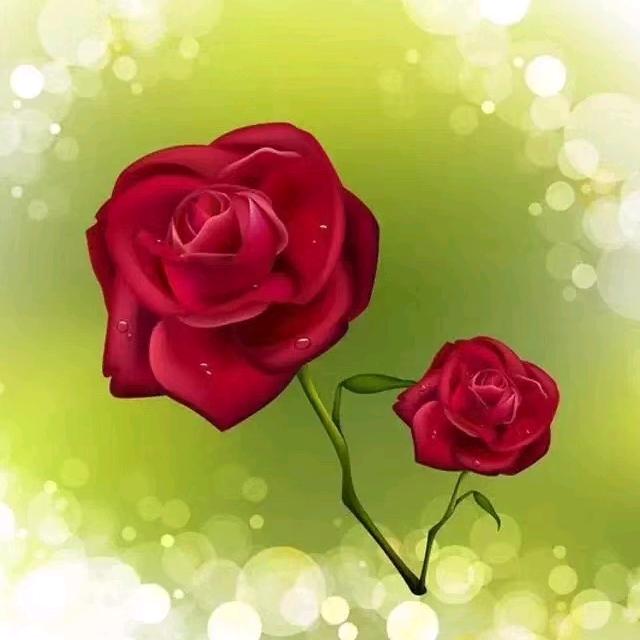 香树湾美食会馆