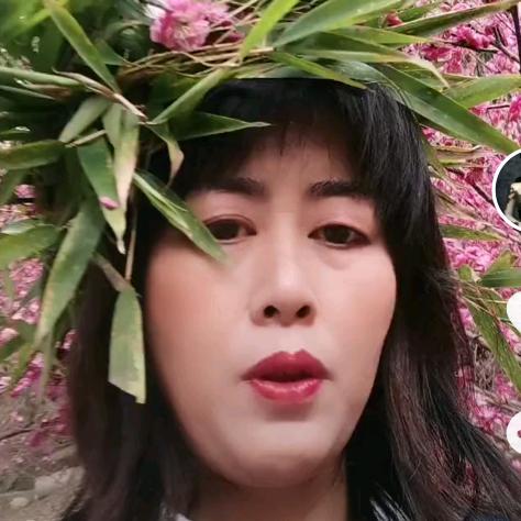 AQin