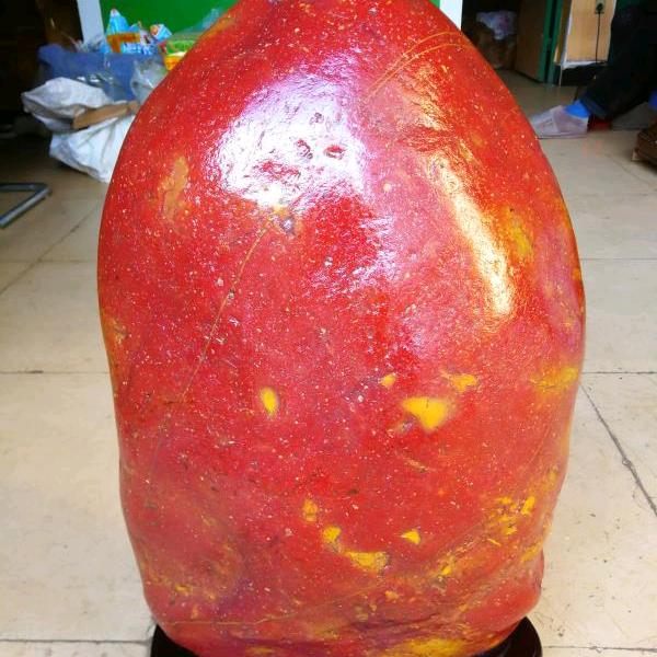 天山神鹰，摘星揽月