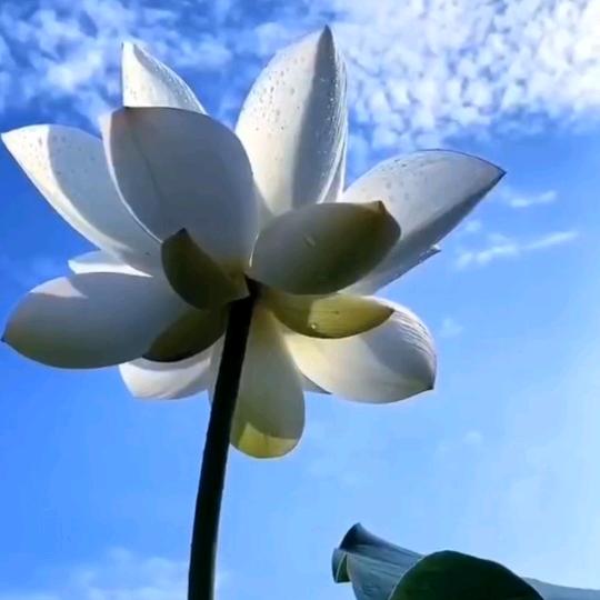 道法自然