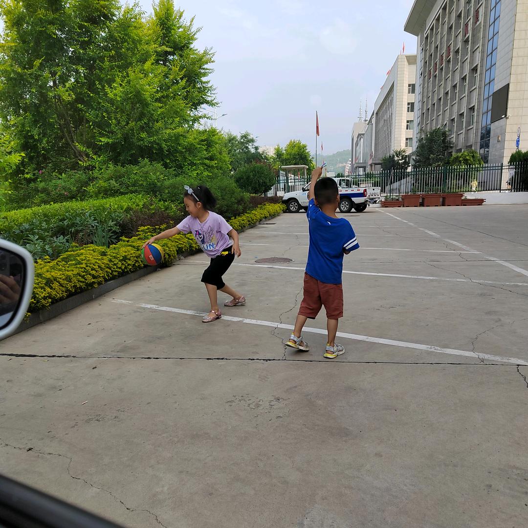 阳光