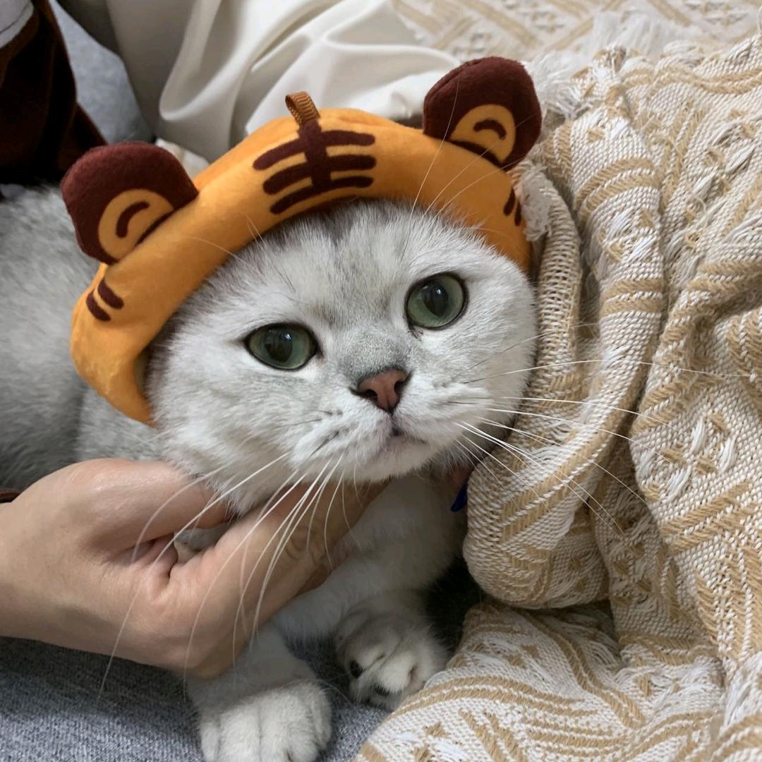 松