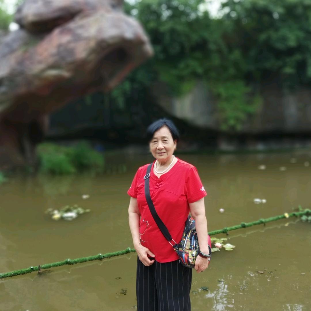 石惠