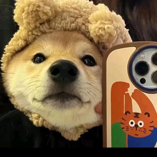 清晨.