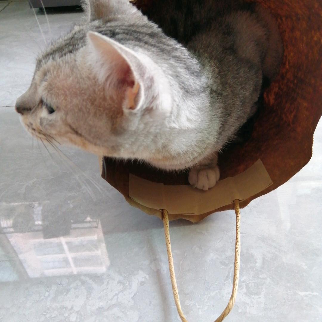 可新